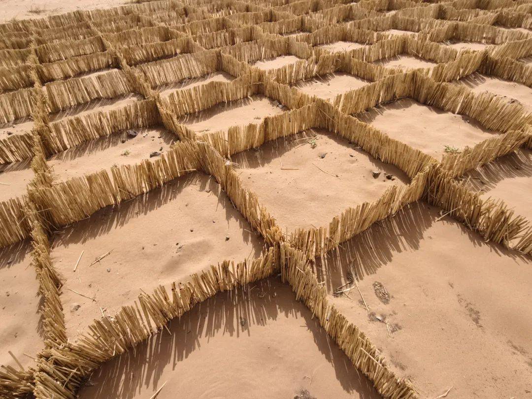 包兰铁路正常通行每年向前推进4米左右受西北风控制其中沙坡头段全