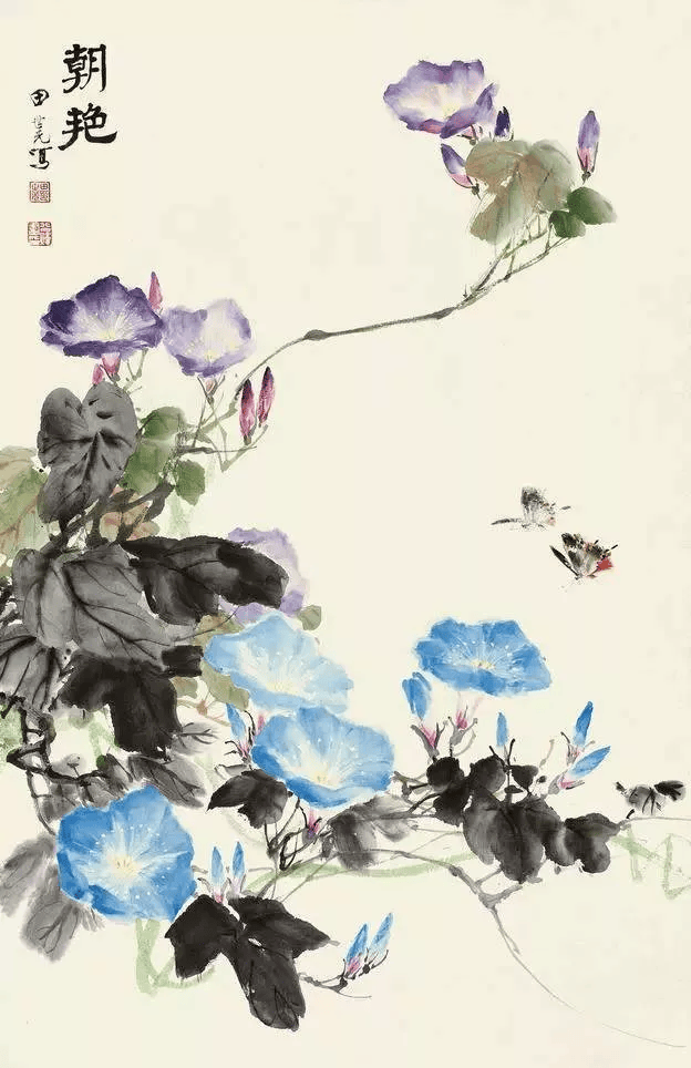 80幅国画牵牛花,太美了!收藏起来!