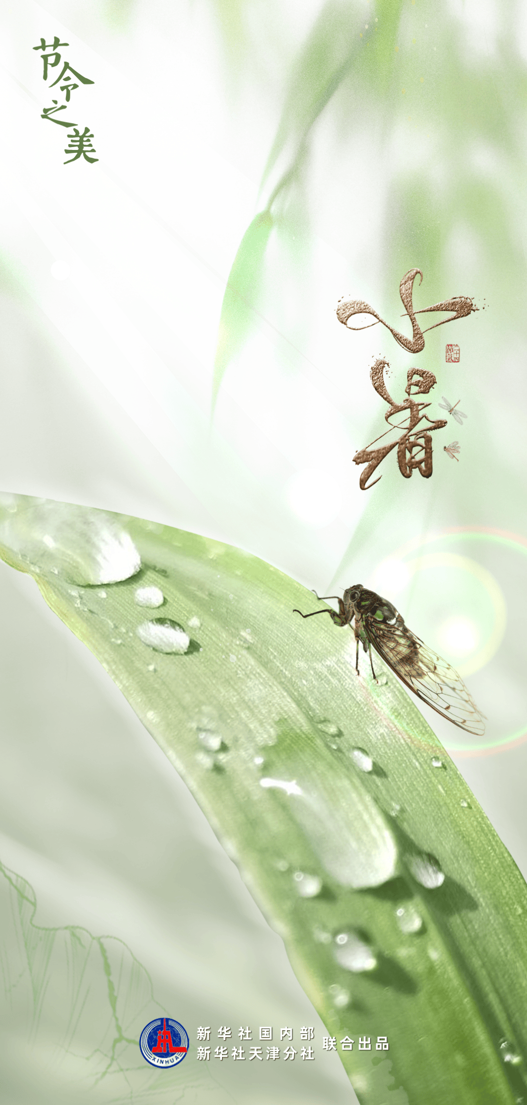 节到小暑进伏天,你有何消暑“凉”策?_节气_方式_日子