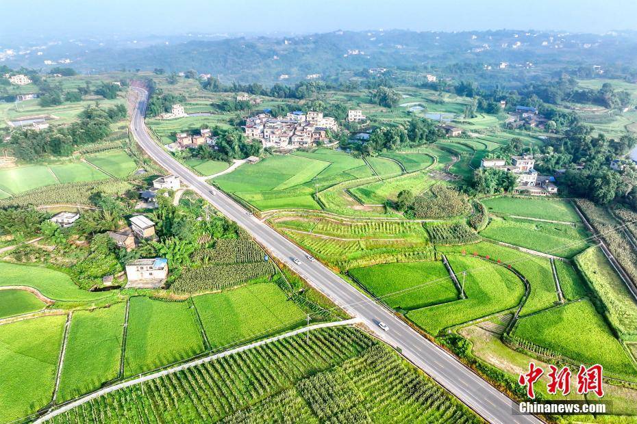 四川合江:"丰景"如画好年景