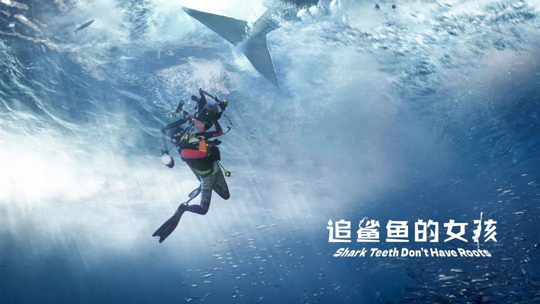 这部影片带你了解鲨鱼的"真面目"_电影_中国_科普