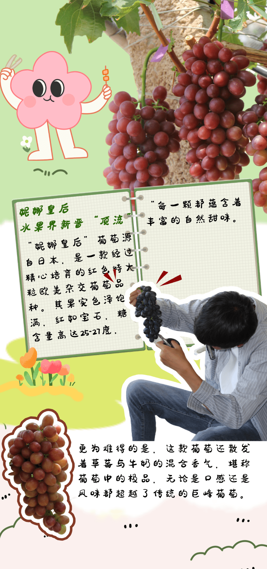 记者:杨子双海报设计:张顺鋆 王琳图片来源:王琳 马喆 李丽 段苏航