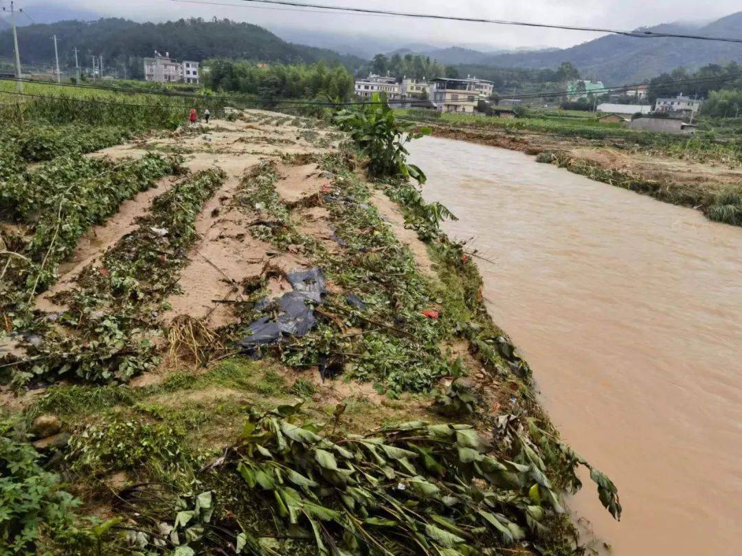全力以"复",中堡镇农业生产灾后恢复有序进行中