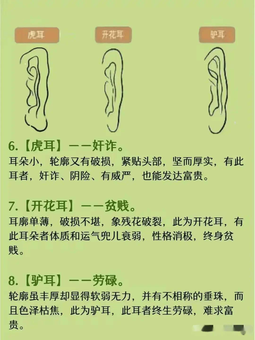 耳朵相学图解女 形状图片