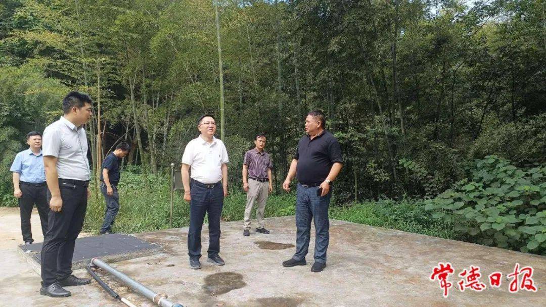 【重点关注】常德市领导赴汉寿县开展巡林工作