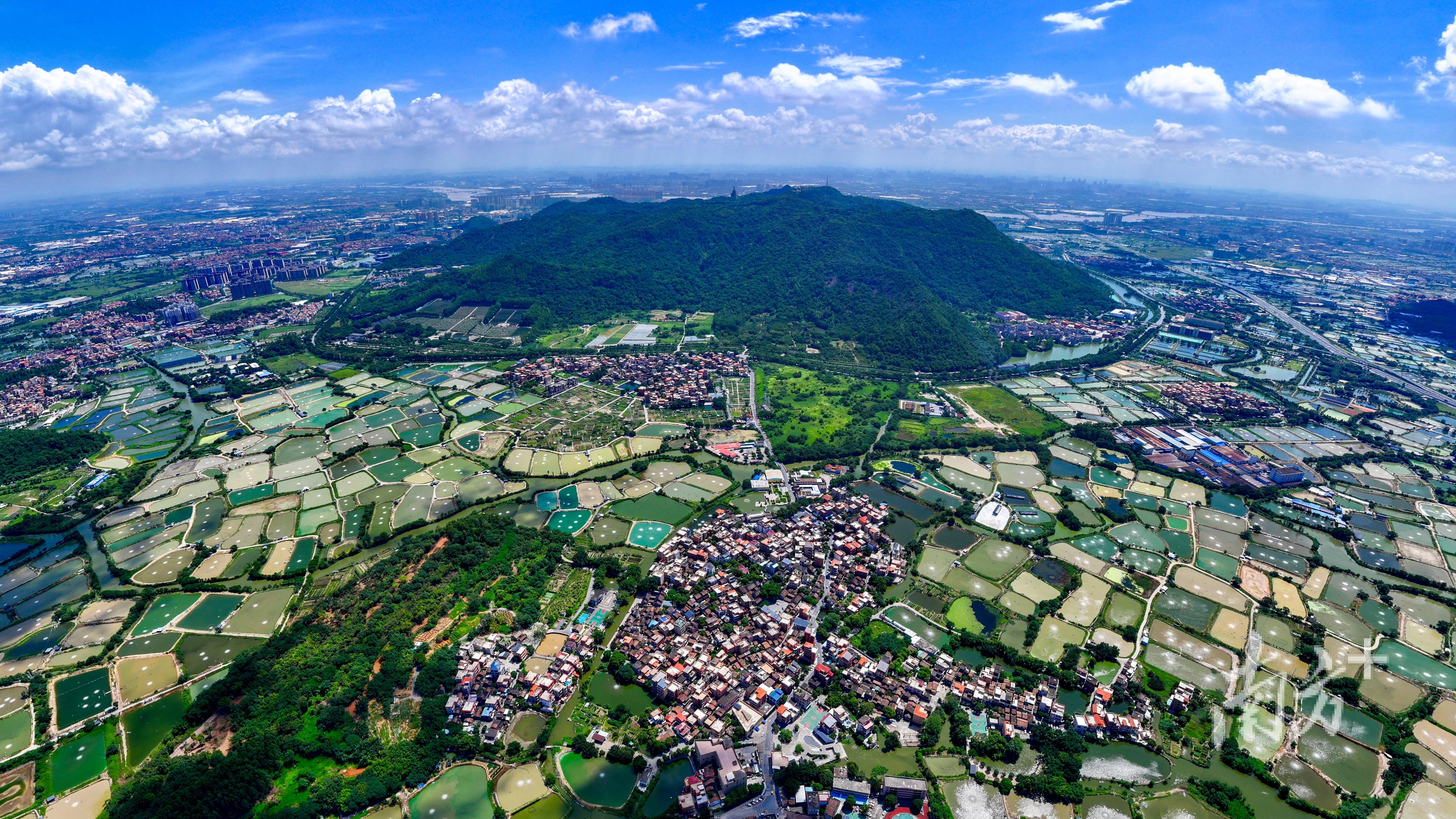 "头啖汤"送上,西樵率先全面搭建热敏灸服务三级网络