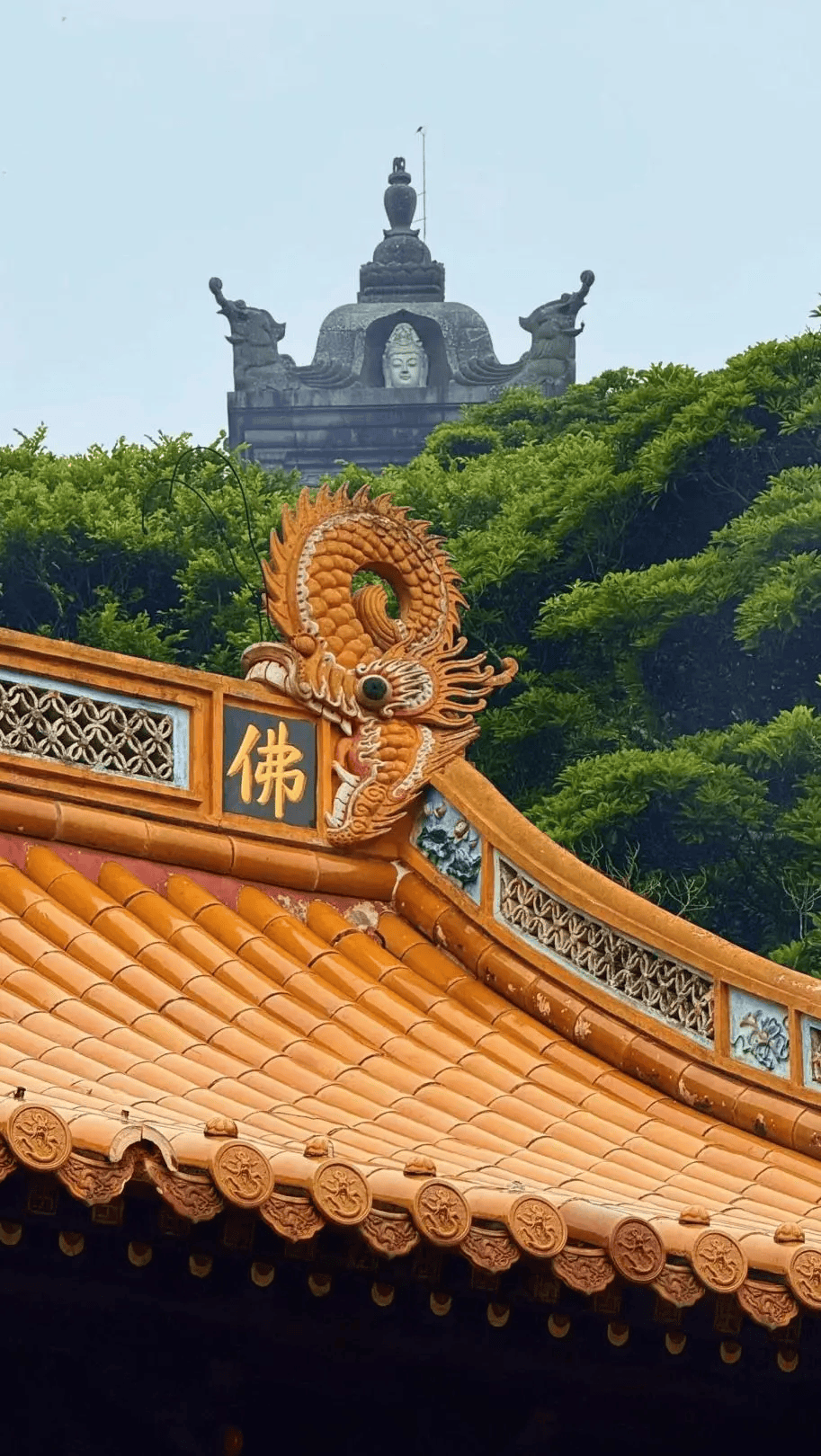 我们似乎也忘了它有着见惯了普陀山人山人海的样子特别是几大必玩景点