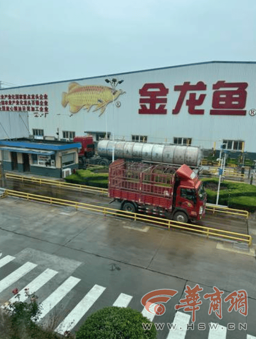 运煤制油罐车确进3家涉陕食用油企业卸货 油罐均封存待检 汉中、咸阳成立调查组-运城油罐厂