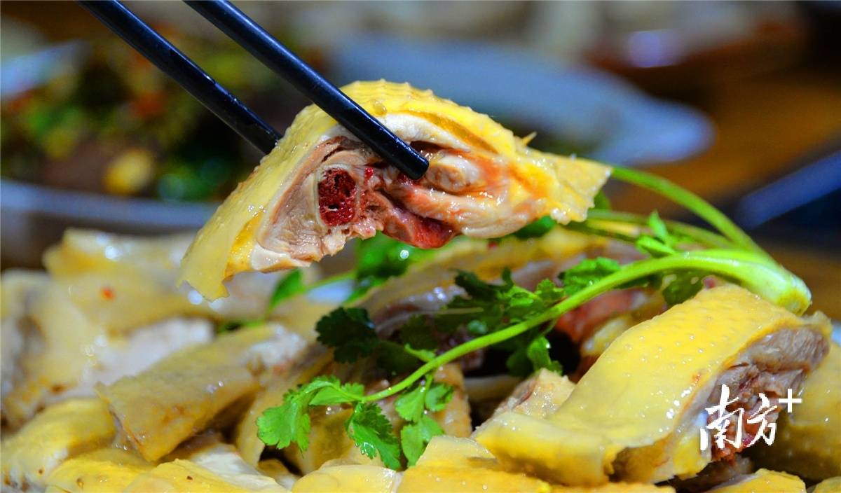 山塘豆腐滑润清香……长寿宴上,一道道连州特色美食陆续端上桌