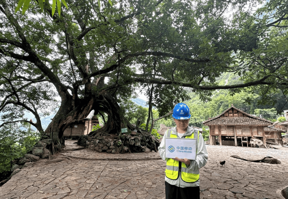 🌸中国发展网 【2024澳门天天开好彩资料】|宝鼎科技：金宝电子募投项目只有一个7,000吨/年高速高频板5G用（HVLP）铜箔项目  第3张