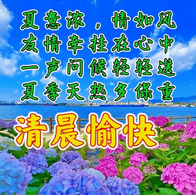 夏季早上好的精彩图片图片