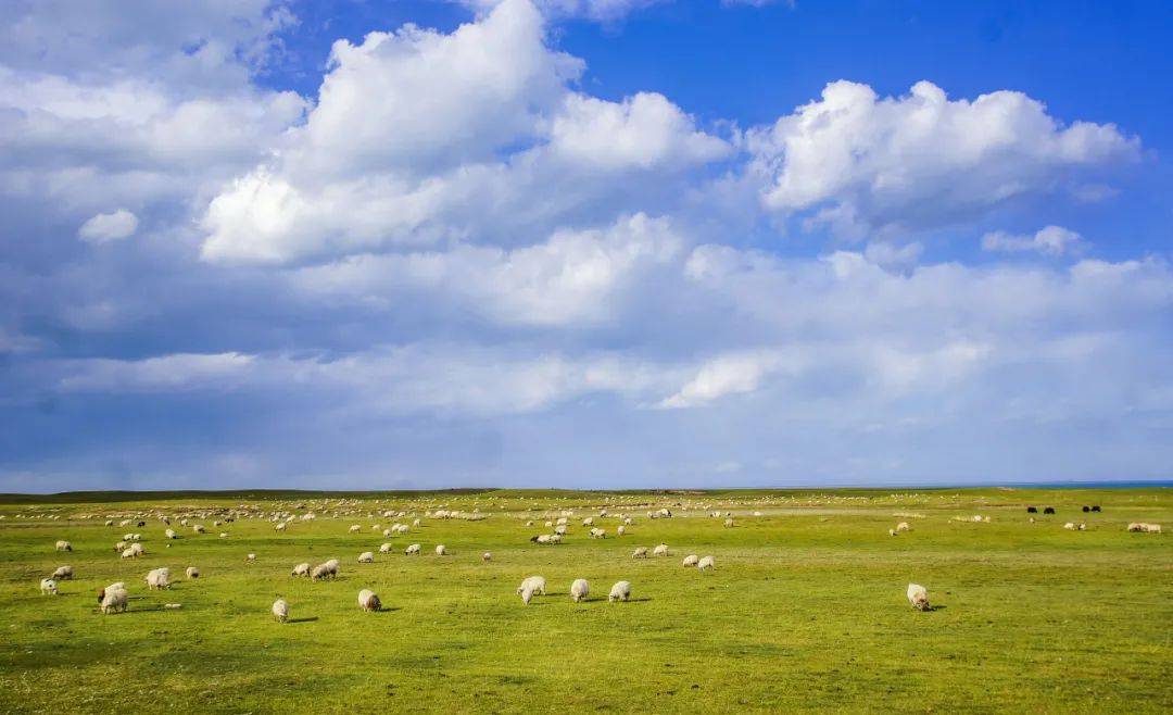 走进辽阔山野,眺望成长远方