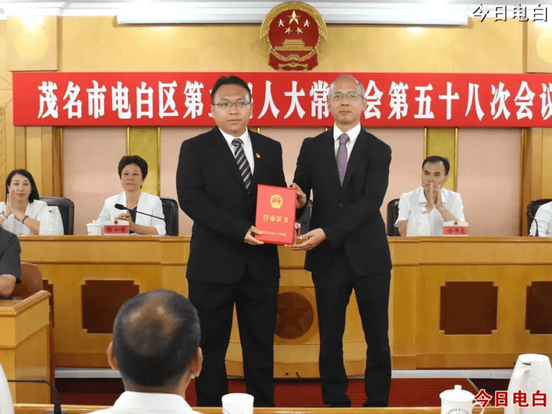 根据上述信息显示,陈龙已任电白区人民政府副区长,此前为高州市平山镇