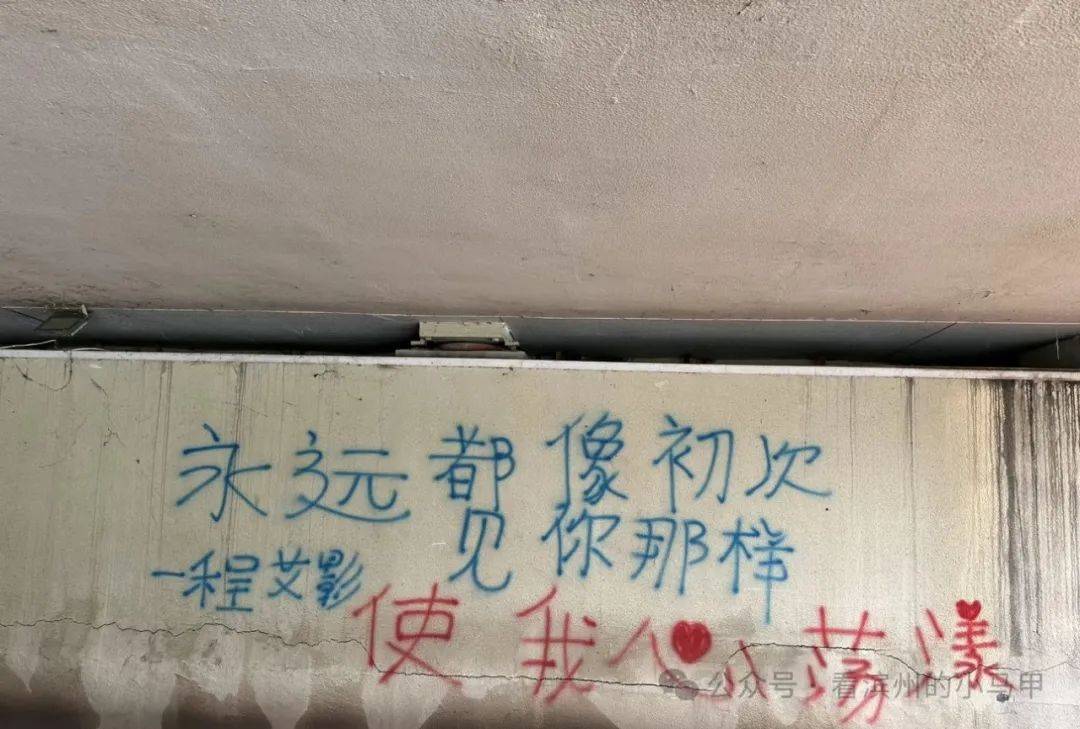 热议文字是什么意思(热议文字是什么意思网络用语)