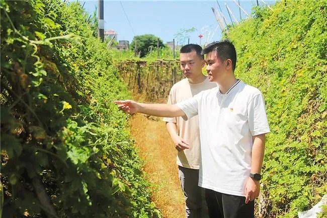 驻村第一书记的"百千万工程"答卷,一起来看看!_社区_庄汉锵_尖山村