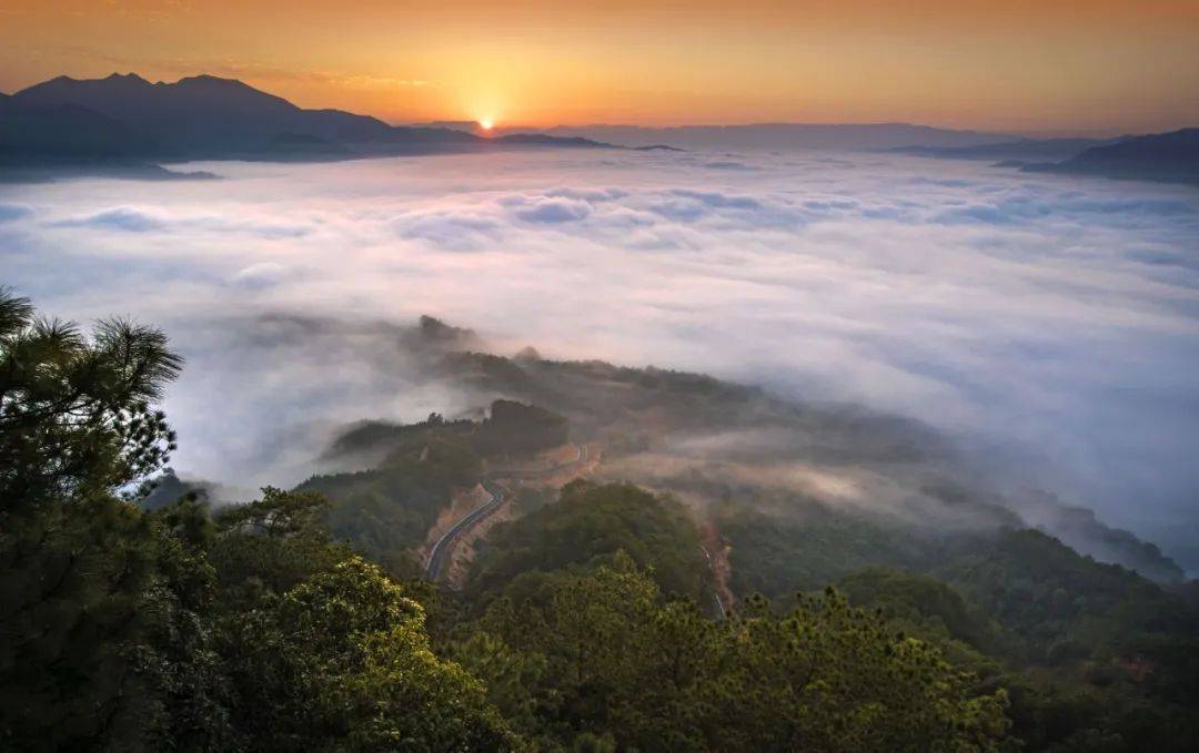 宝山到顺昌宝山走走,让山野治愈你的所有不快乐你可以在途中大