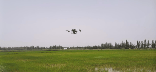 泽普县:无人机"上岗"施肥忙 科技助农促生产