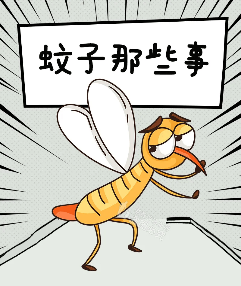 传授几个蚊叮后止痒妙招