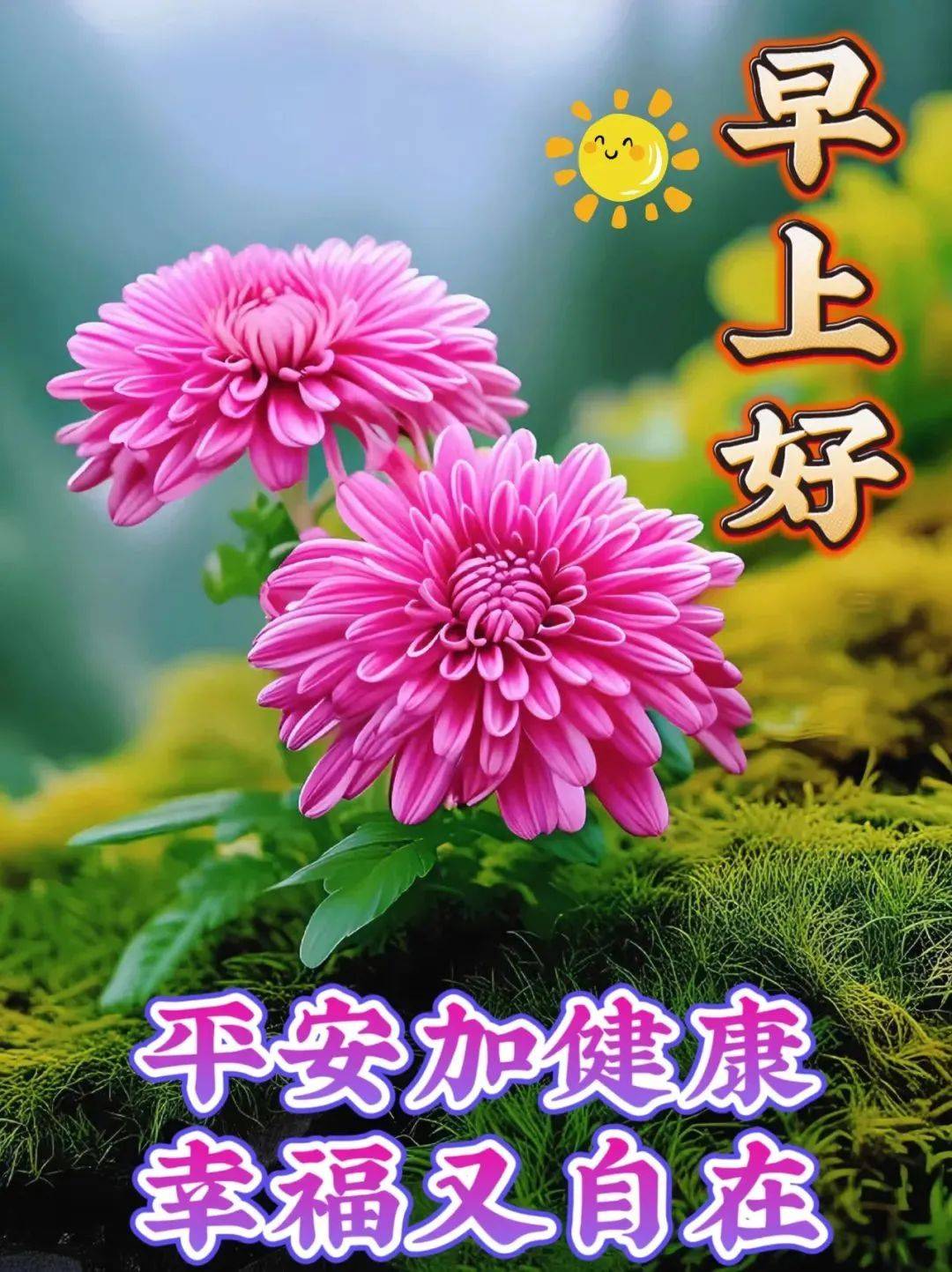 清晨,问候