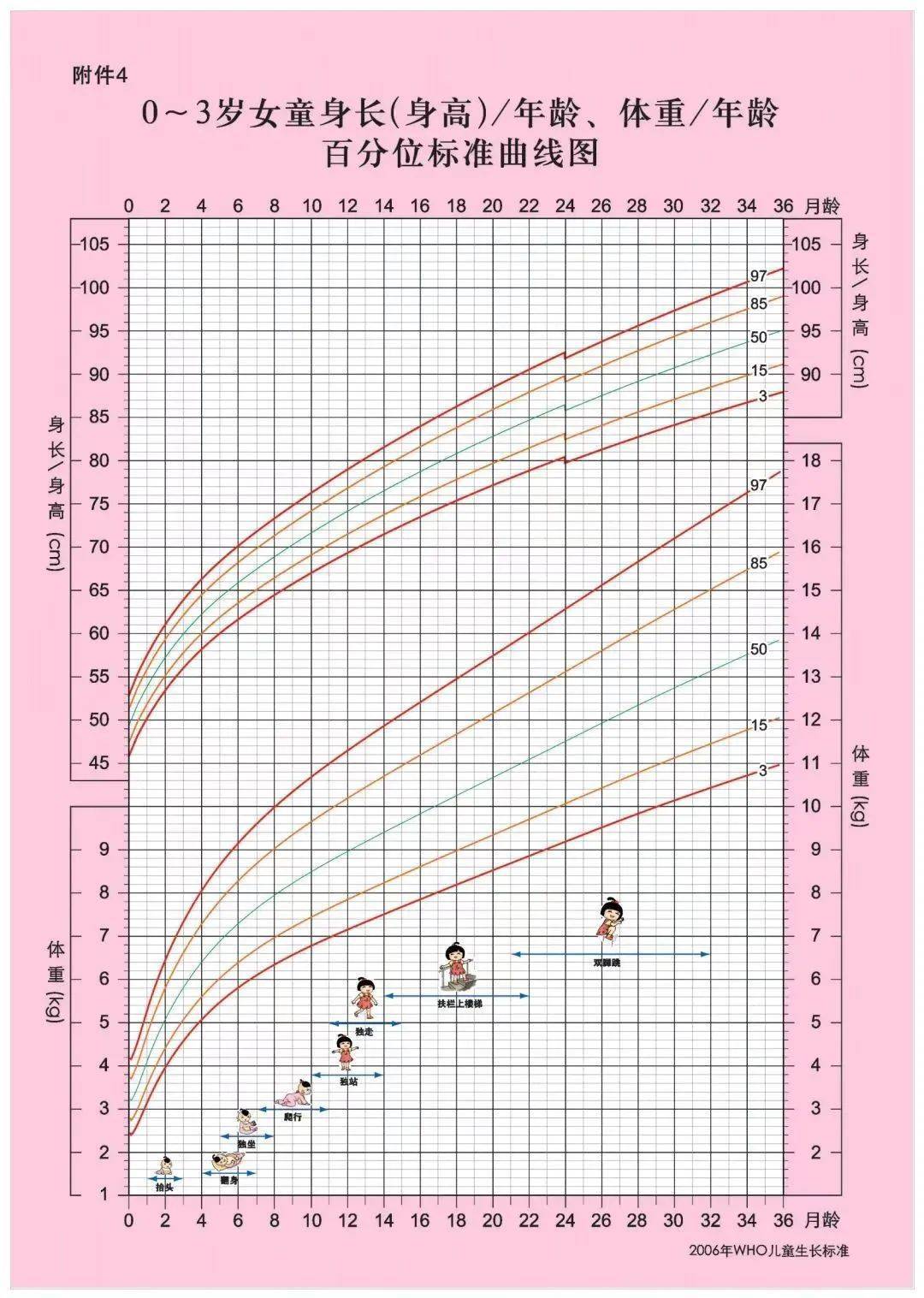 儿童青少年胖没胖?定期测一测,马上就知道!