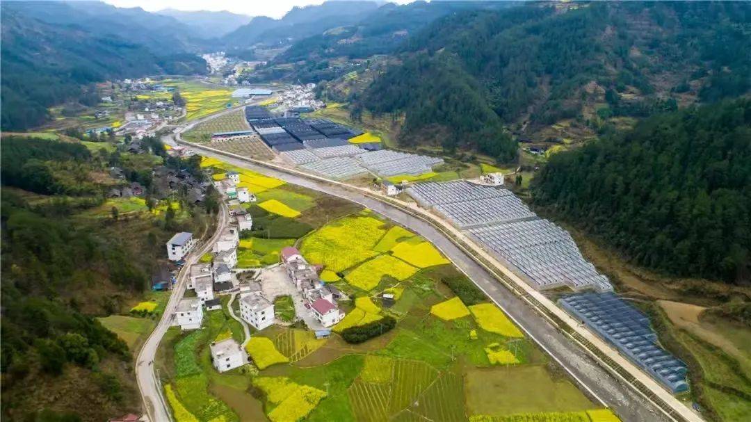 强村富民丨万山:土地增效益 群众得实惠_发展_大棚_敖寨
