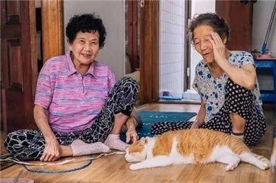 被奶奶带大的橘猫，这画风果然就是跟别人家的猫咪不太一样