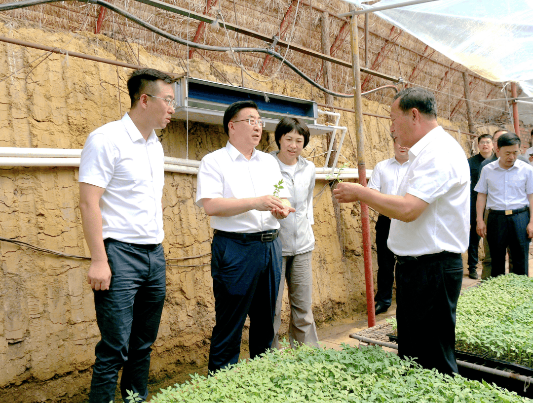 黑山县大虎山名人图片