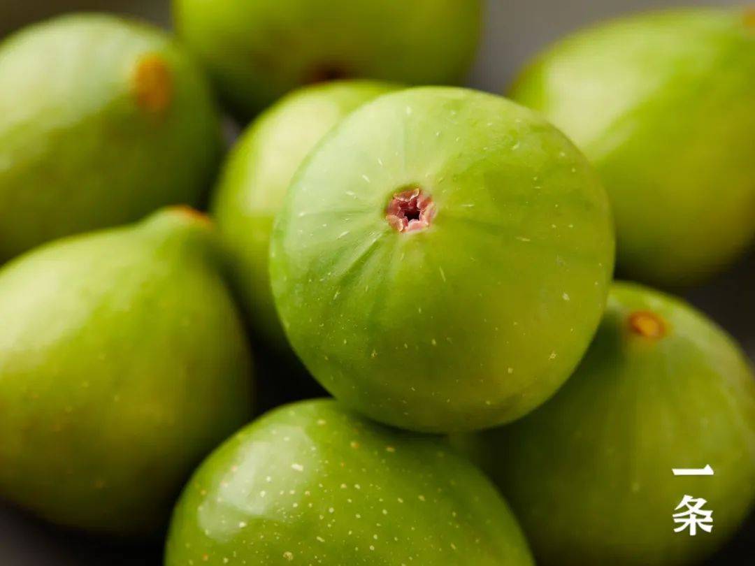 山东威海青皮无花果,软糯香甜,一咬流蜜,一年只能吃2次!