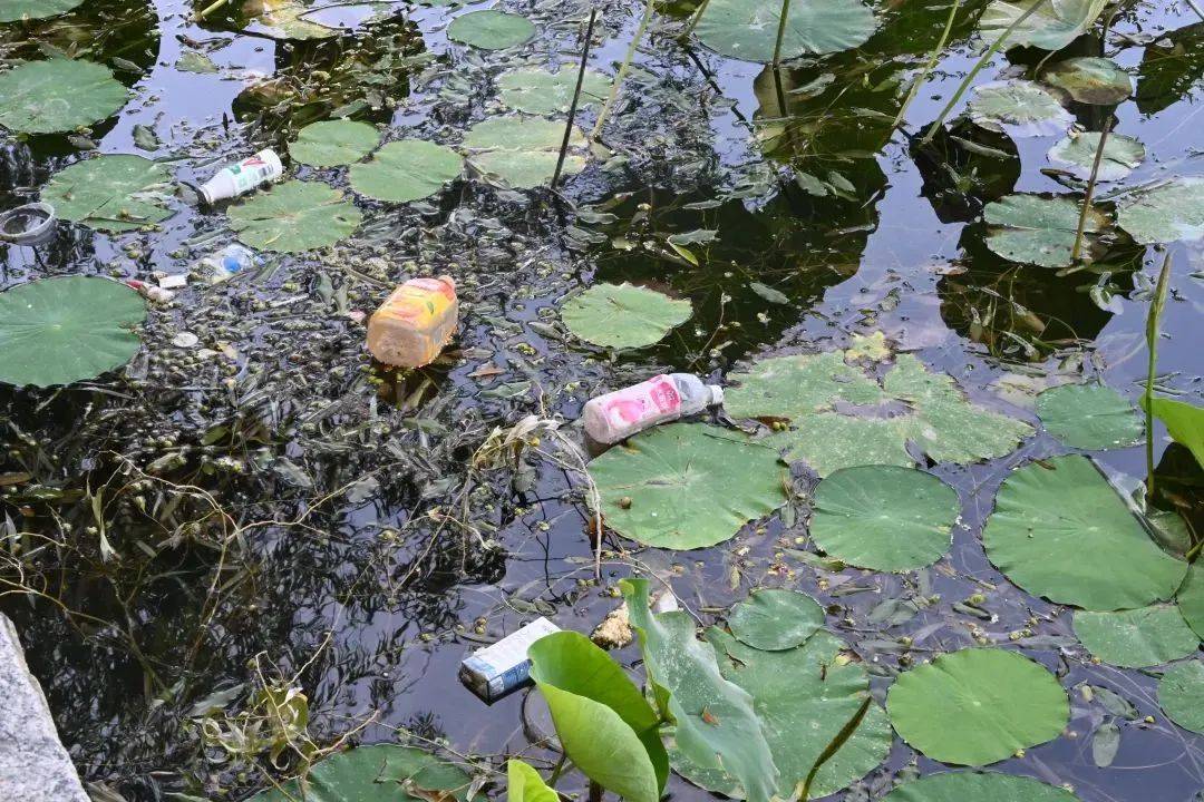 乱丢垃圾,破坏生态环境萨依巴格后门福满居小区梨香园社区宾馆巷天利