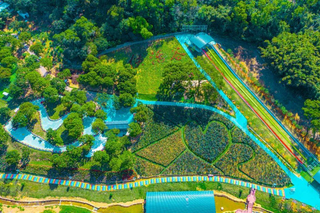 中山特色镇街等你来打卡(飞跃伶仃洋⑦)_三乡镇_旅游_历史