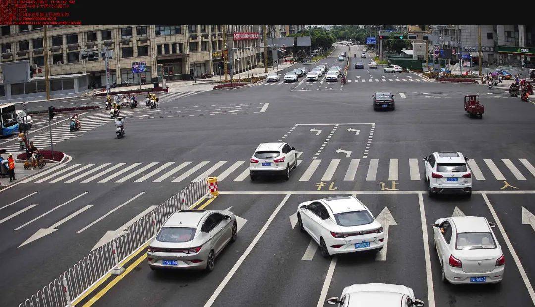 资阳这30辆机动车路口"压实线",来看有你熟悉的吗?