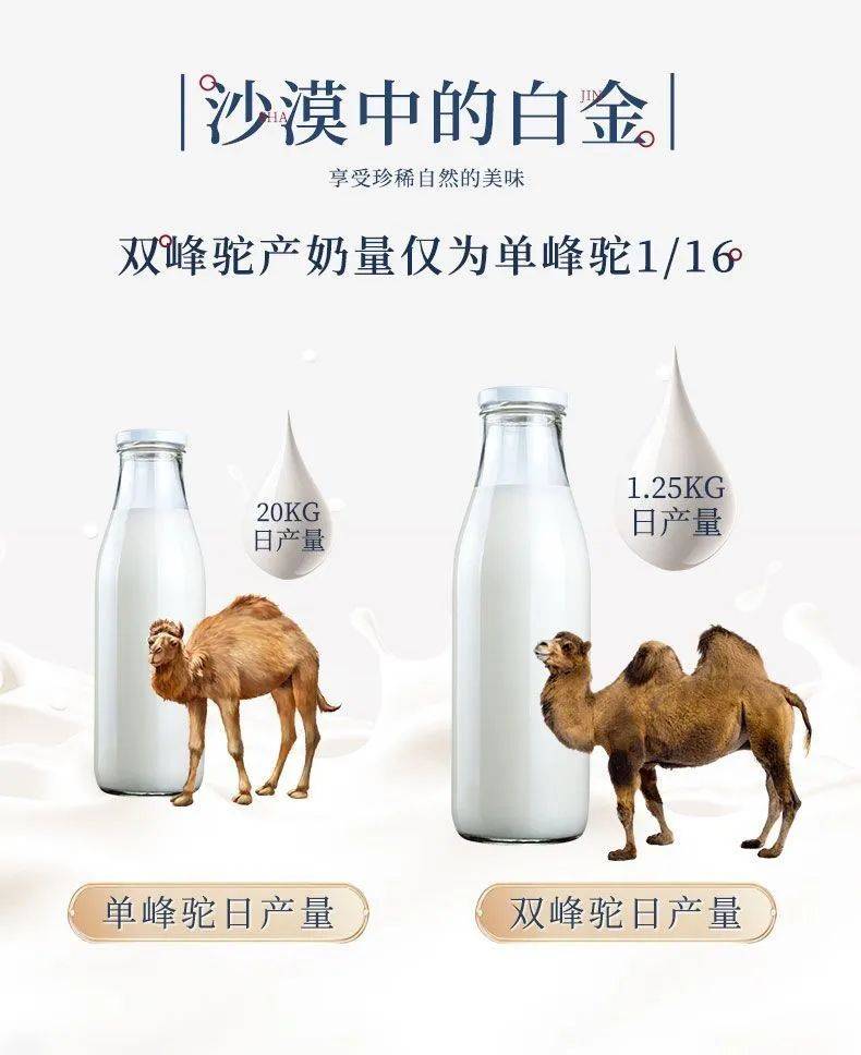 【哈萨克斯坦金色骆驼驼奶粉】开团价89元2罐!