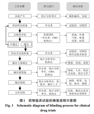 临床试验编盲图片