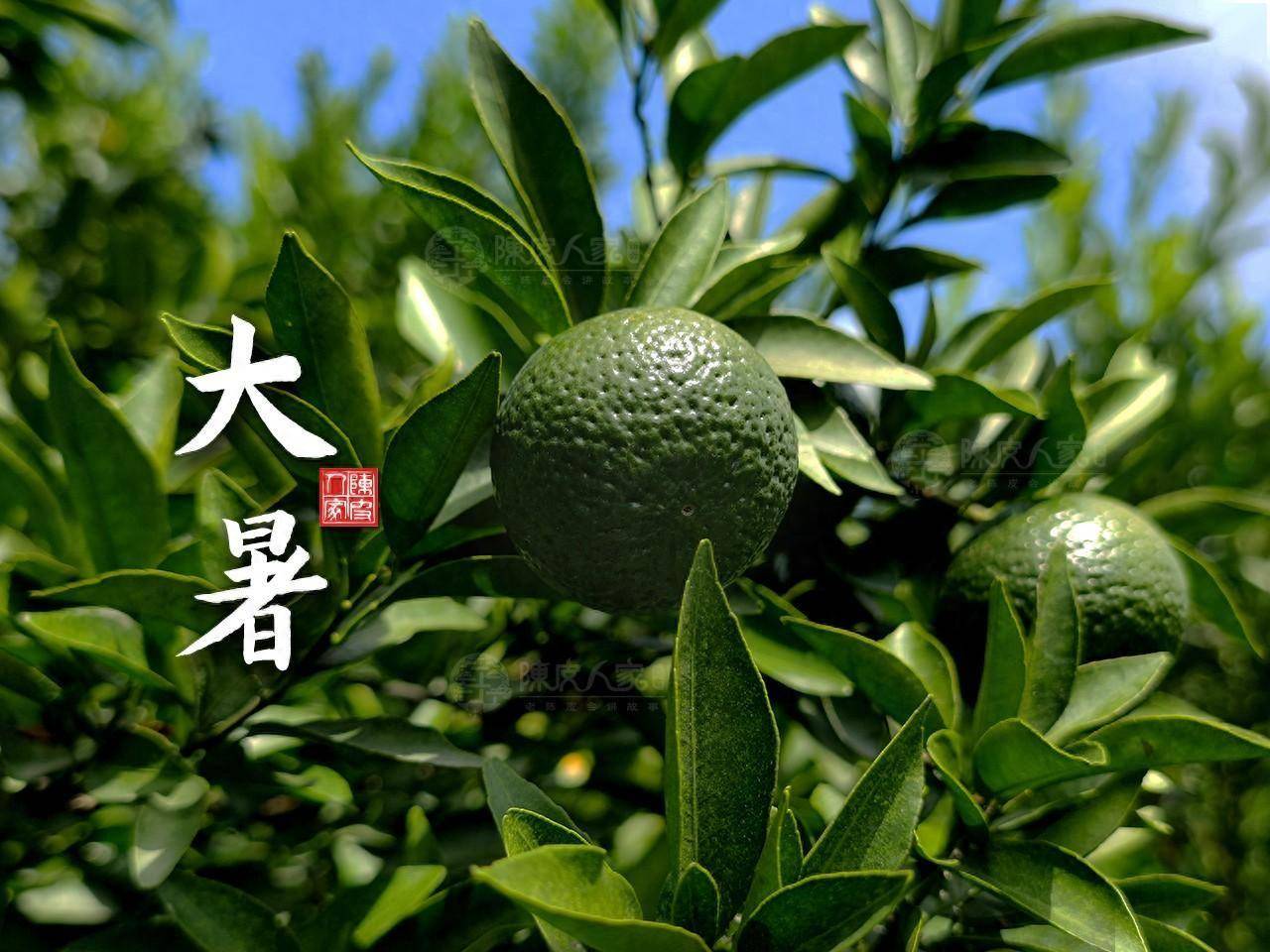 防寒菜谱（防寒衣 食谱）