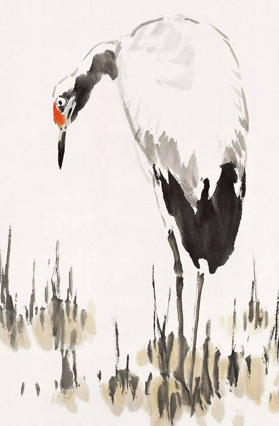 萧朗禽鸟画的好(百幅),收藏学习离不了