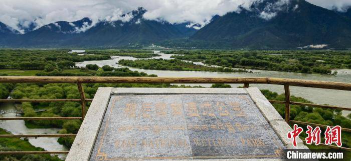 探访雅尼国家湿地公园 534种野生植物 234种野生动物分布于此