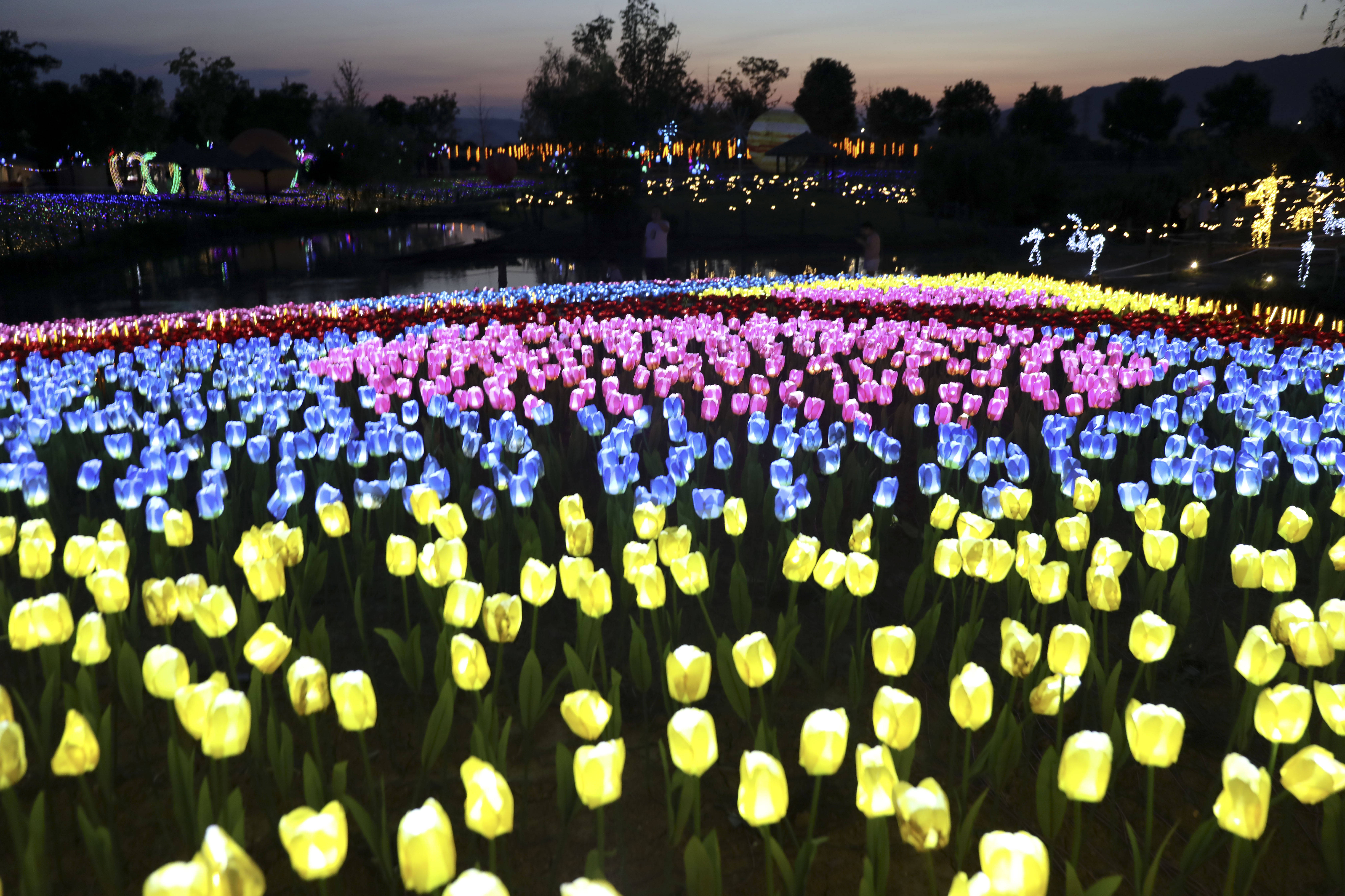 浙江桐庐:花海灯光秀 古村享浪漫_荻浦村_江南镇_互动