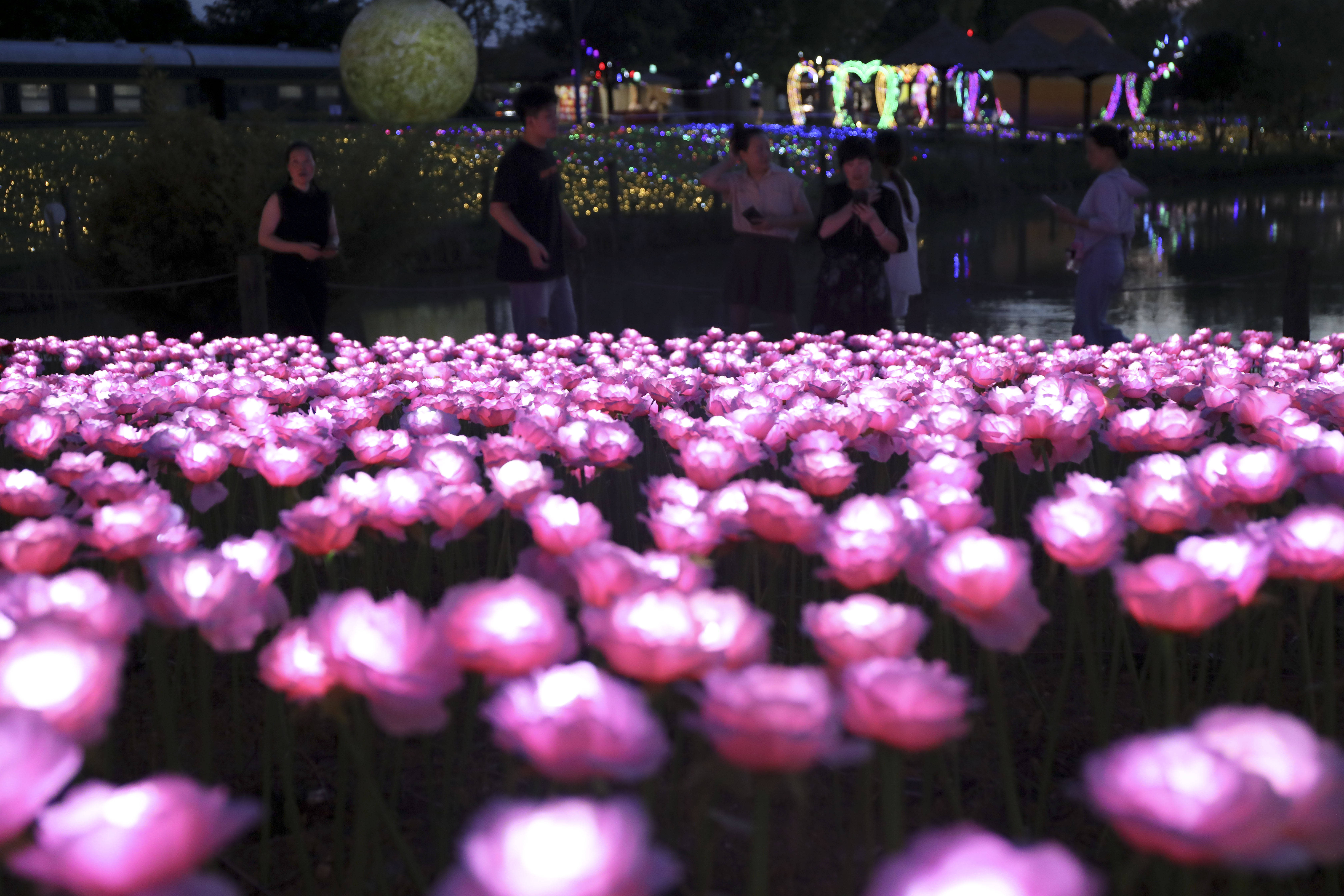 浙江桐庐:花海灯光秀 古村享浪漫_荻浦村_江南镇_互动