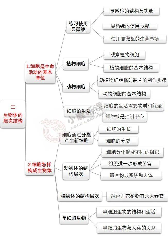 太难得了 史上最新最清晰初中生物思维导图