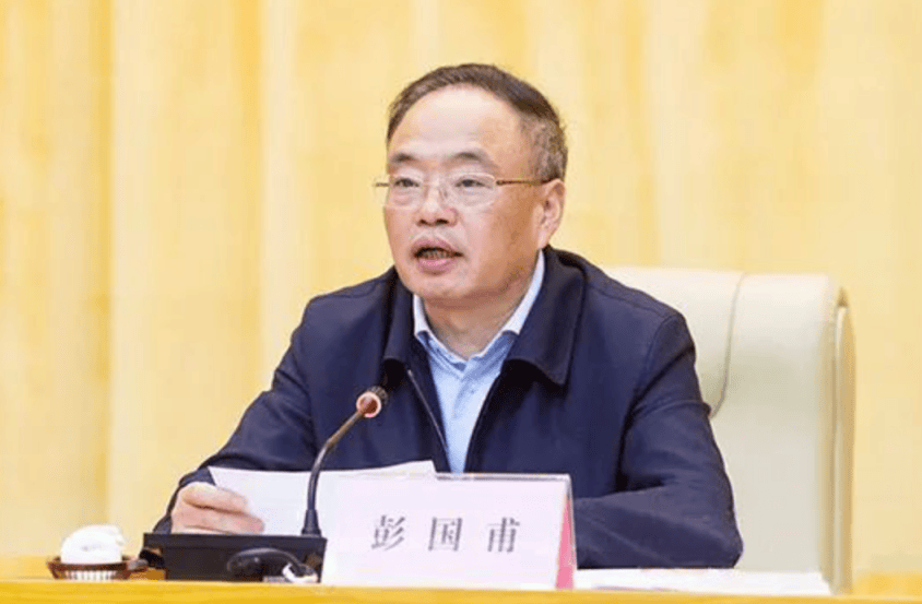 十三届全国人大华侨委员会副主任委员罗保铭被查