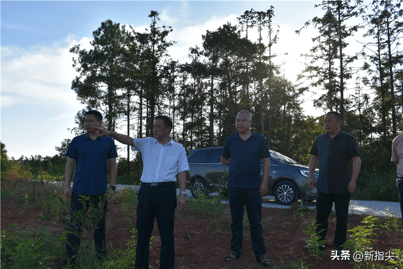 江志晖先后来到枫树维回乡白洋河村,陬市镇小马山村,酒铺岗村,青龙村