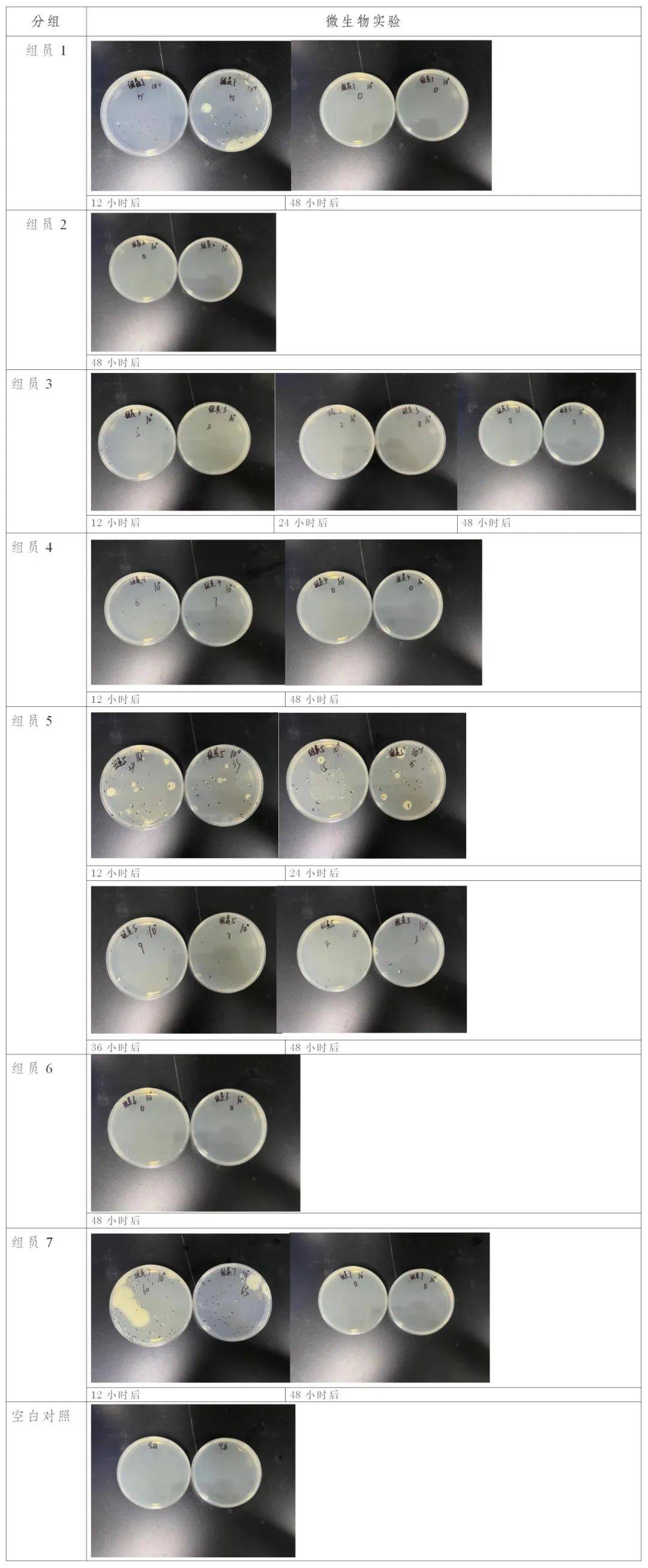 唯一有检出的是菌落总数,这是由于人口腔内存在大量的微生物导致.