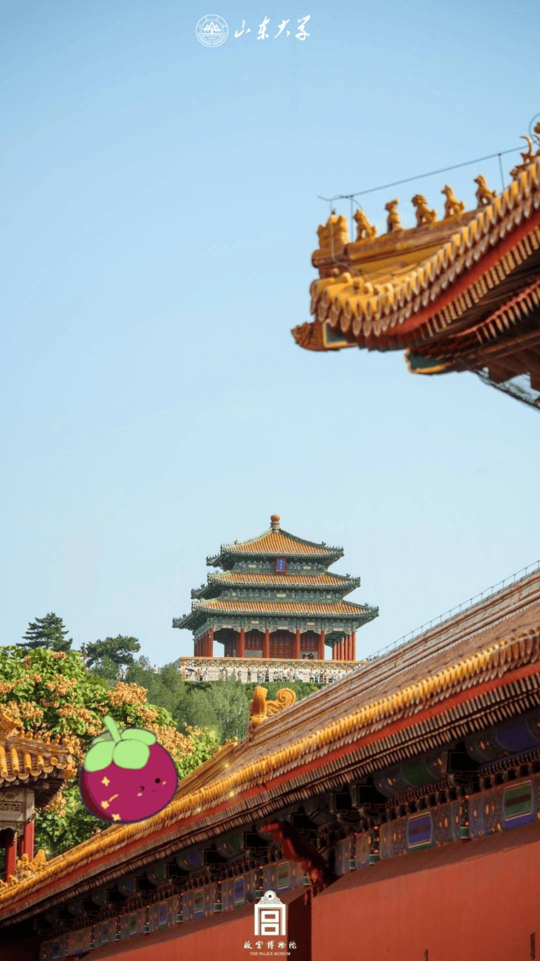 与故宫博物院携手今天金黄色的琉璃瓦熠熠生辉洒落在古老的紫禁城上