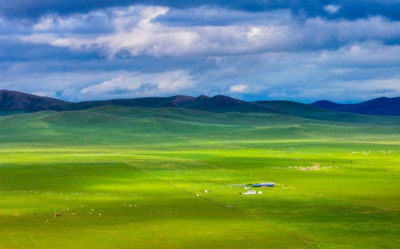 我和草原有个约定 不负夏日最美风景——内蒙古推进