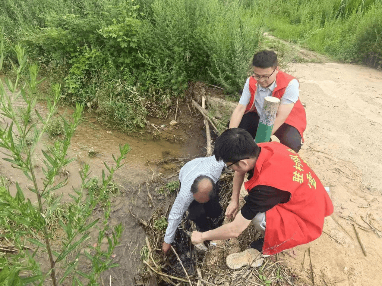 麟游县招贤镇图片