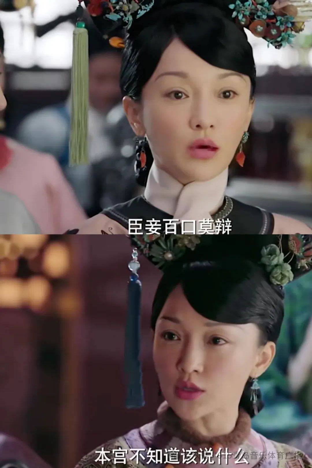 本宫是你皇姐