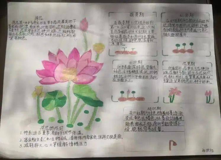 手抄报制作不仅可以锻炼书写和绘画能力,同时也是构图与规划能力提高