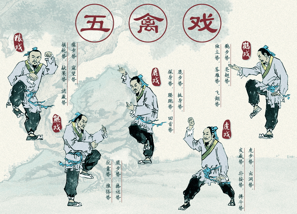云端超市61第868期┃"八锦行持,五禽游戏,已受
