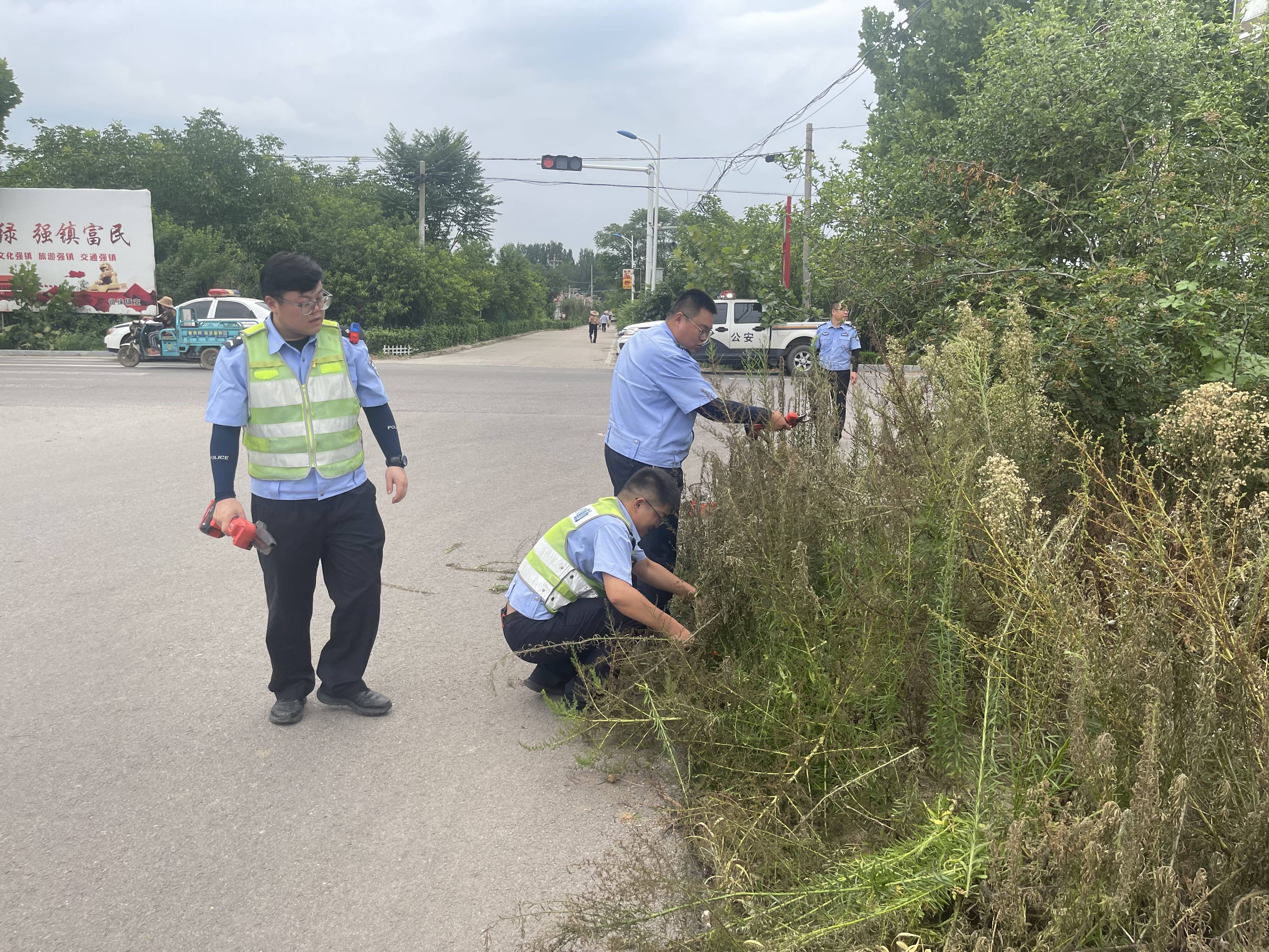 交警城西大队:修剪道路绿植消除安全行车隐患_泰安市_影响_进行