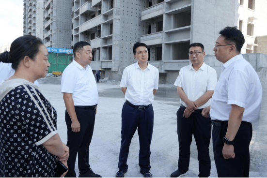 南阳市宛城区委书记樊牛带队调研问题楼盘化解工作